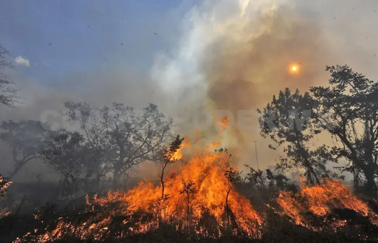 Incendios activos han quemado mil 400 hectáreas