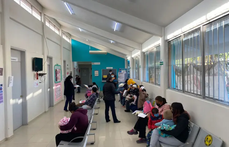 Detectan primer caso de influenza aviar “A” en México