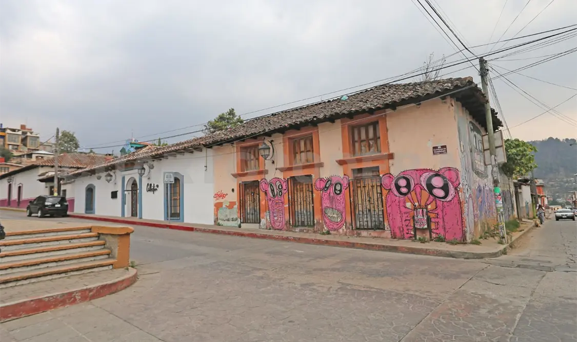 Urge regular el suelo para frenar colapso ambiental