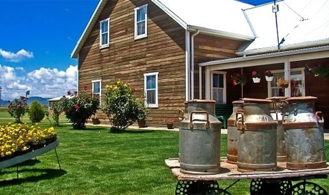 El museo se encuentra en Ciudad Cuauhtémoc, Chihuahua, conocida como la “ciudad de las 3 culturas”. Cortesía