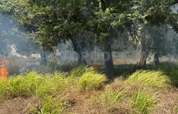 Ganaderos denuncian incendios