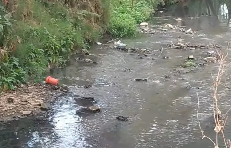 Dramática la situación de ríos y arroyos en SCLC