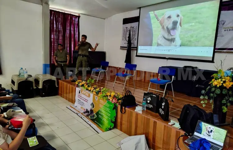 Binomios caninos pueden detectar gusano barrenador