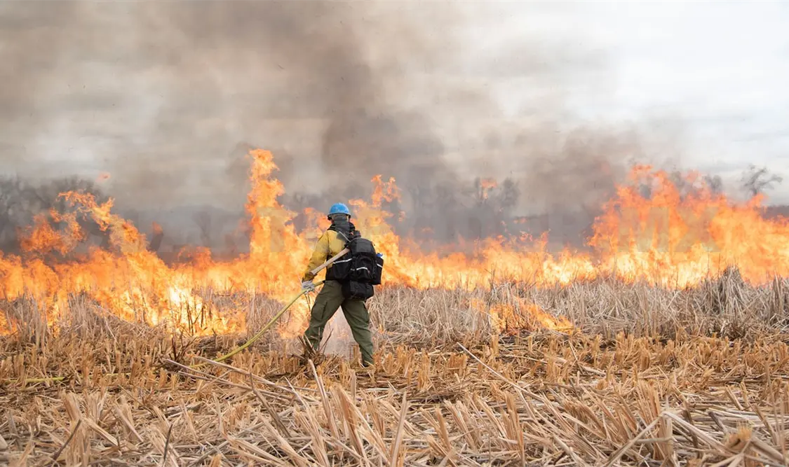 Cuenta Chiapas con dos mil combatientes