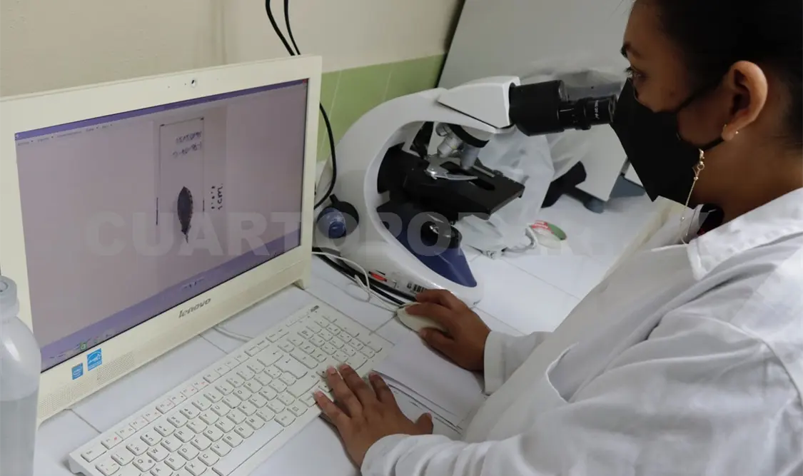 Ingenieras, solo 12 % son investigadoras STEM