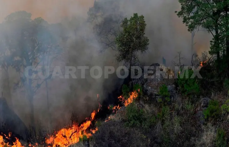 Suman 20 incendios forestales en una semana