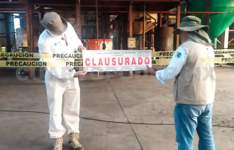 Clausura Profepa planta aceitera