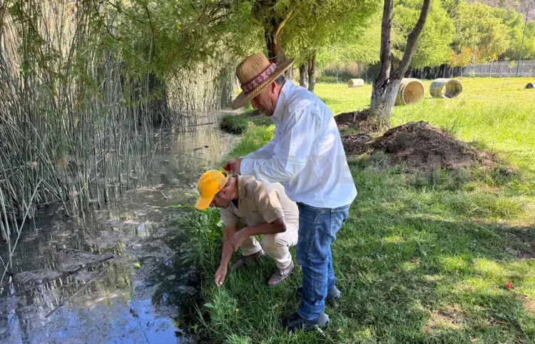 Inician fumigación contra chaquiste