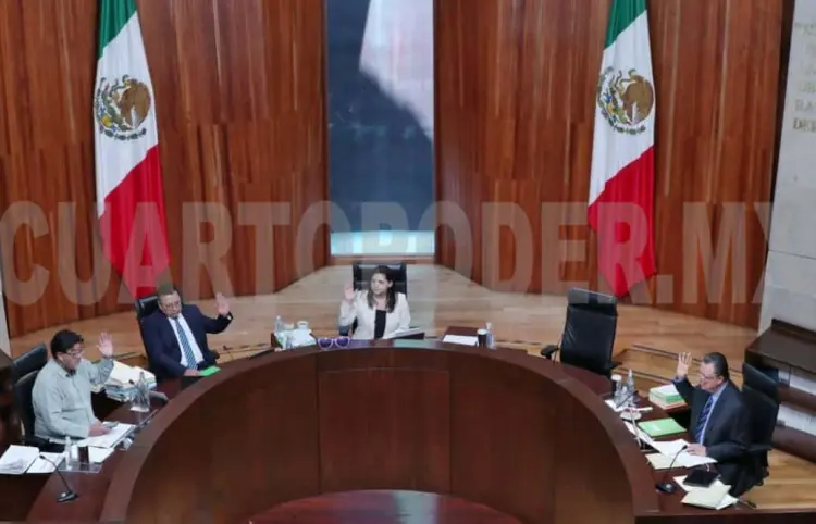 Perfilan dar luz verde para promocionar elección