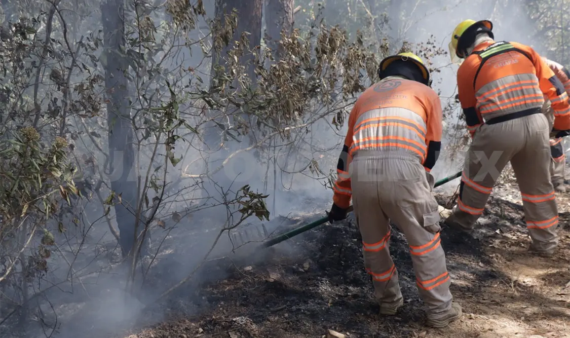 Van 500 incendios de pastizales en el año
