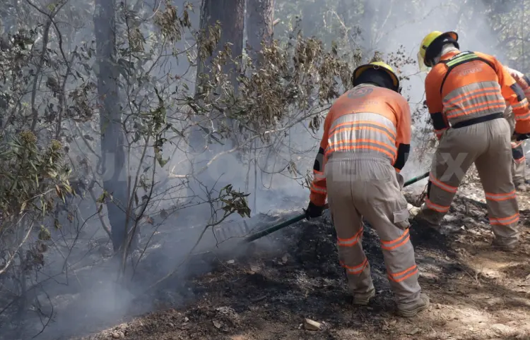 Van 500 incendios de pastizales en el año
