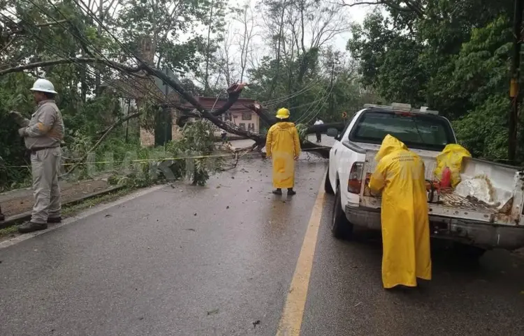 Afectaciones en Palenque y Salto de Agua por el frío
