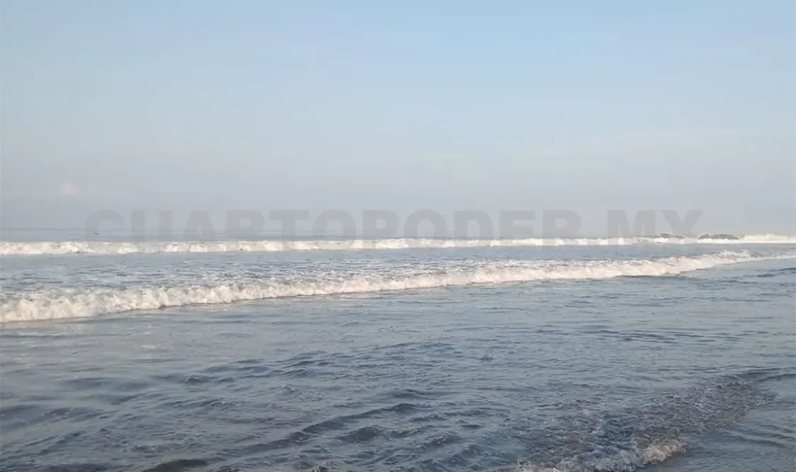 Se puede consumir moluscos sin riesgo: SSa