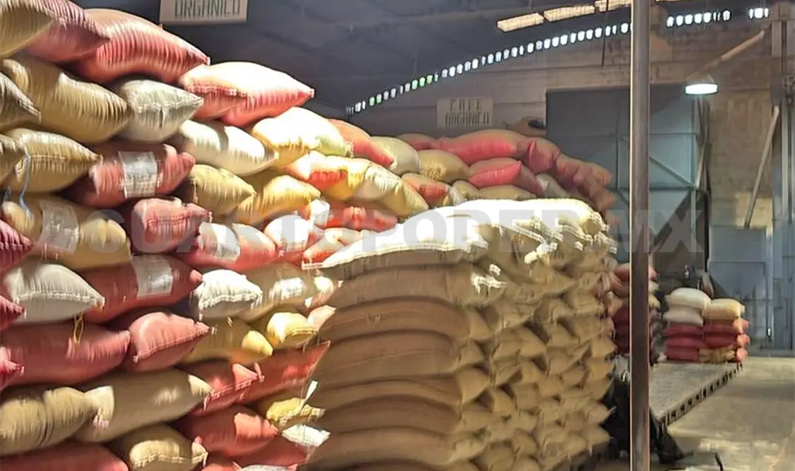 Se reanuda envío de café orgánico a Estados Unidos