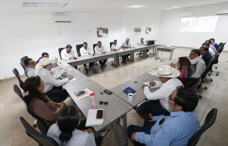 Refuerzan estrategia por brote de gusano barrenador
