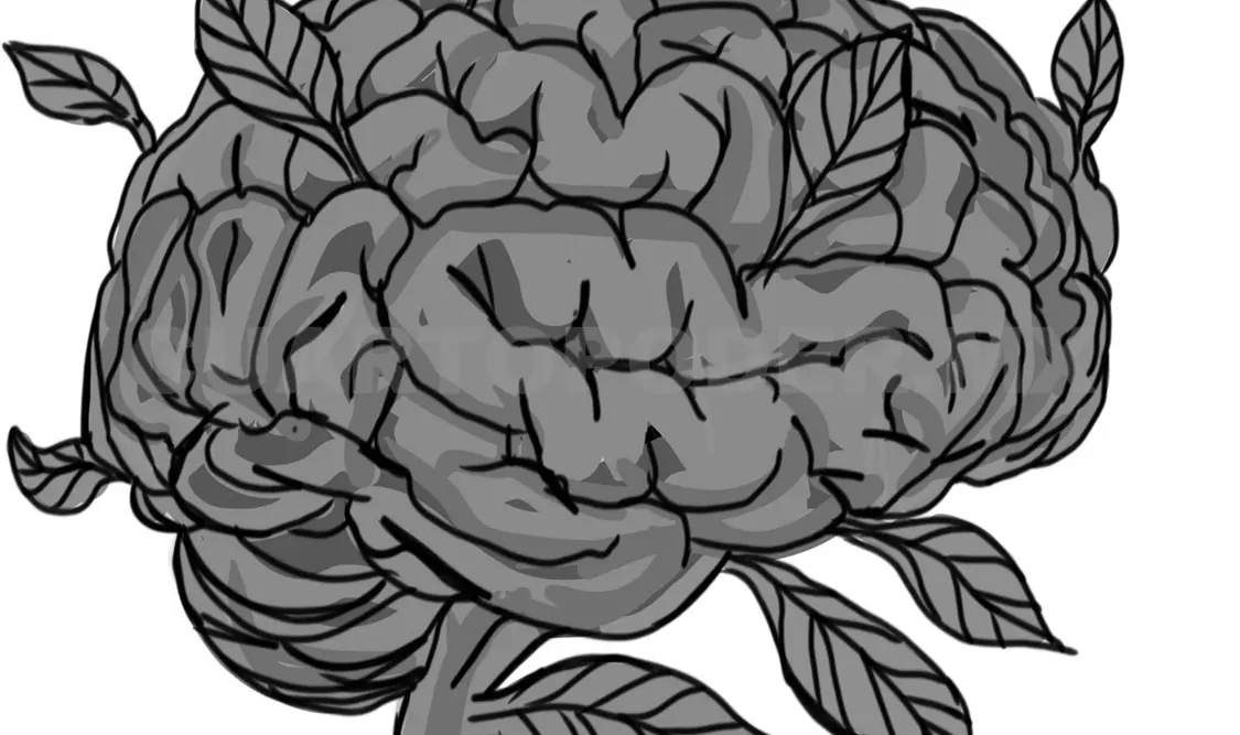 Cambio climático y propiedad industrial