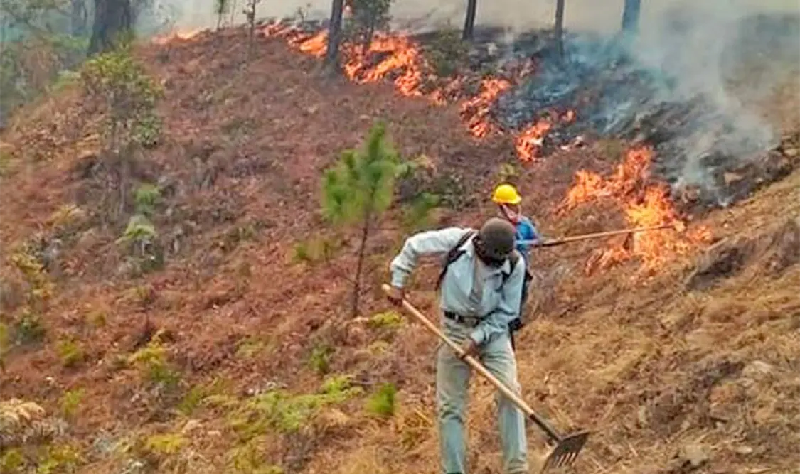 El incendio se ha extendido a otras tres localidades. Cortesía