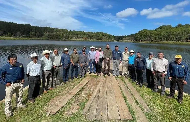 Impulsan reserva natural en la Selva Negra