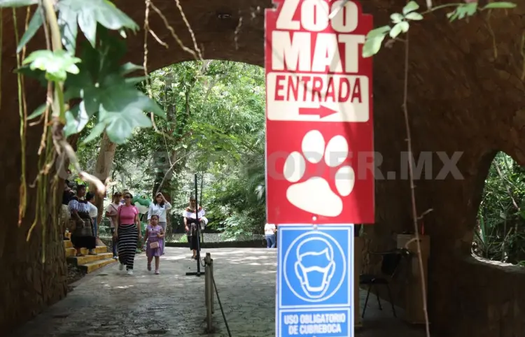 Esperan miles de visitas en el Zoológico