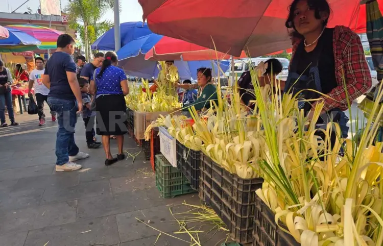 Celebran Domingo de Ramos; miles acuden a templos