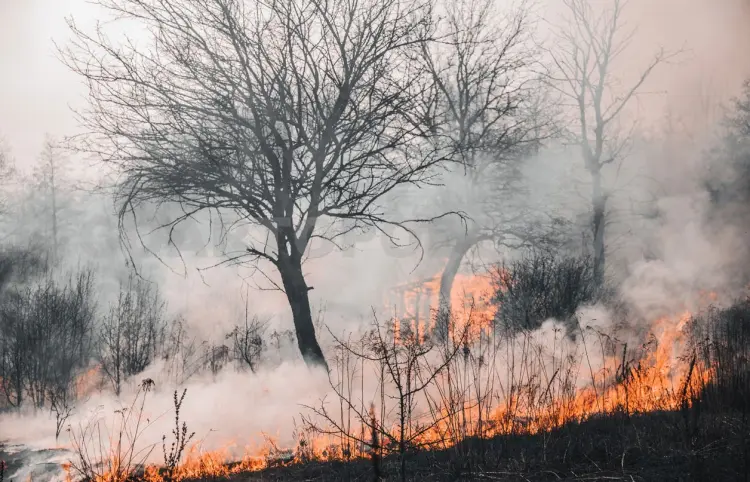 Incendios en Tuxtla se reducen hasta un 70 %