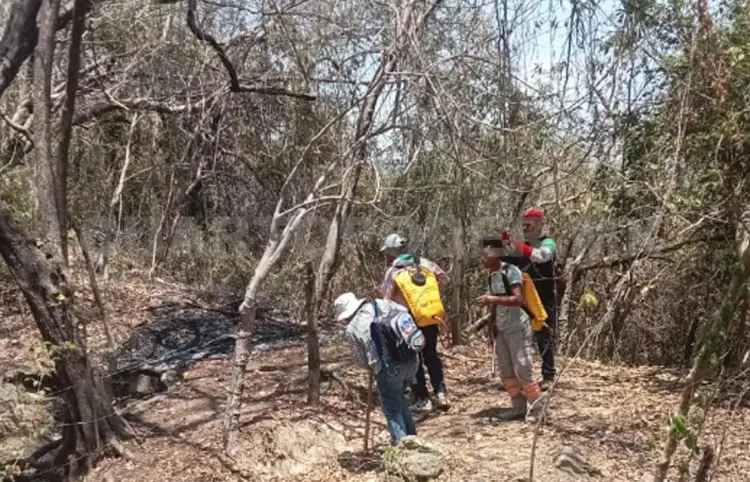 Chiapas, lugar 12 en incendios forestales