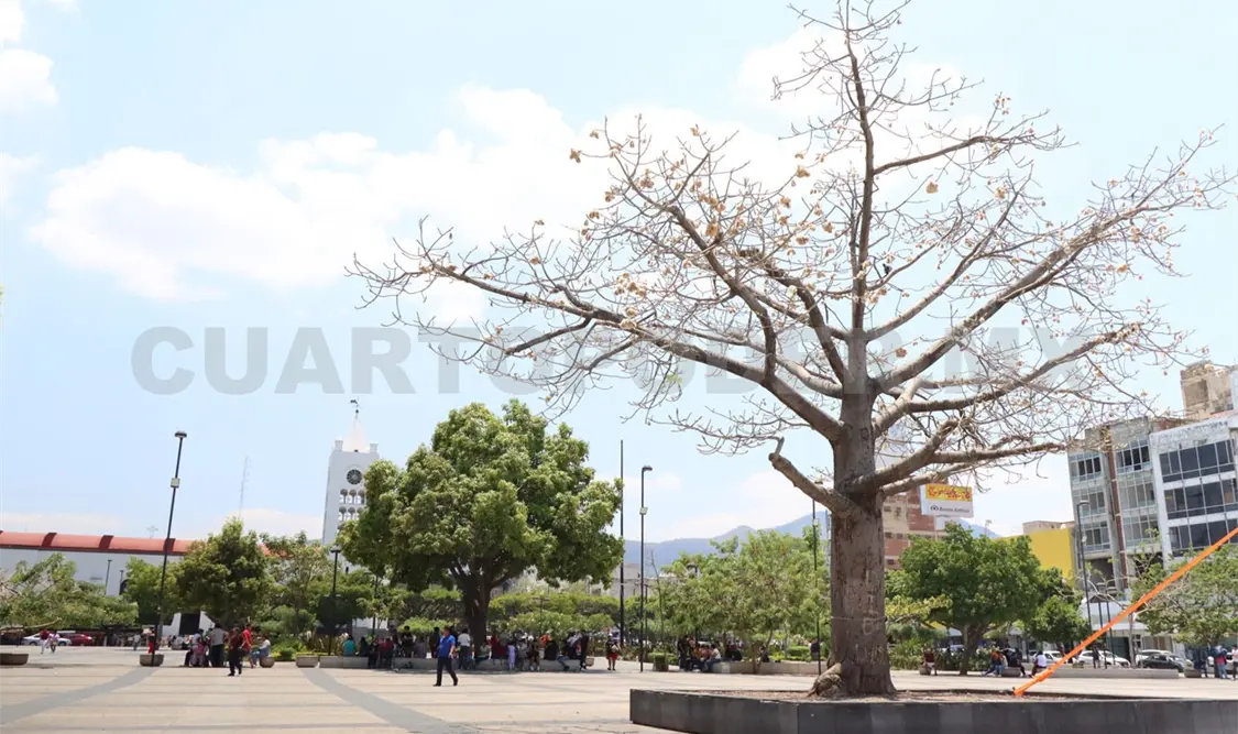 Alerta el SMN por calor de hasta 45 °C en la Costa