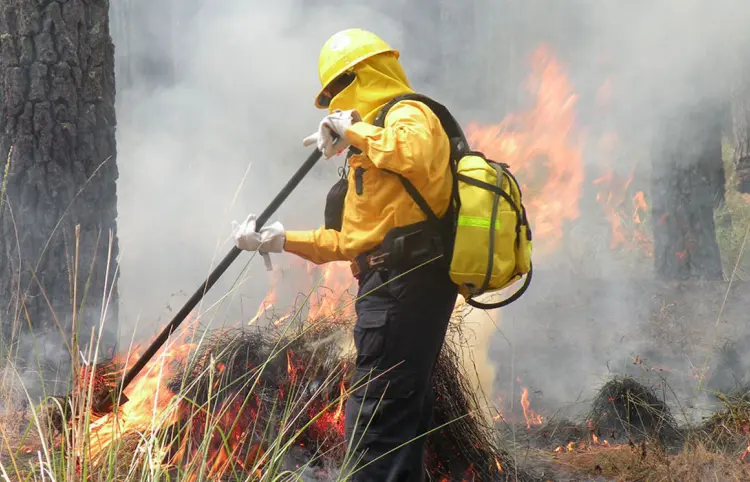 En dos semanas, aumentaron 50 % incendios forestales