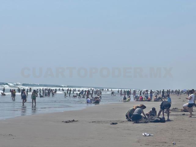 Miles acudieron a Puerto Arista