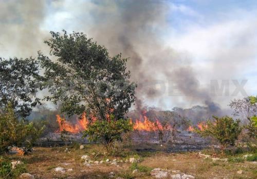 Reportan más de 5 mil hectáreas quemadas