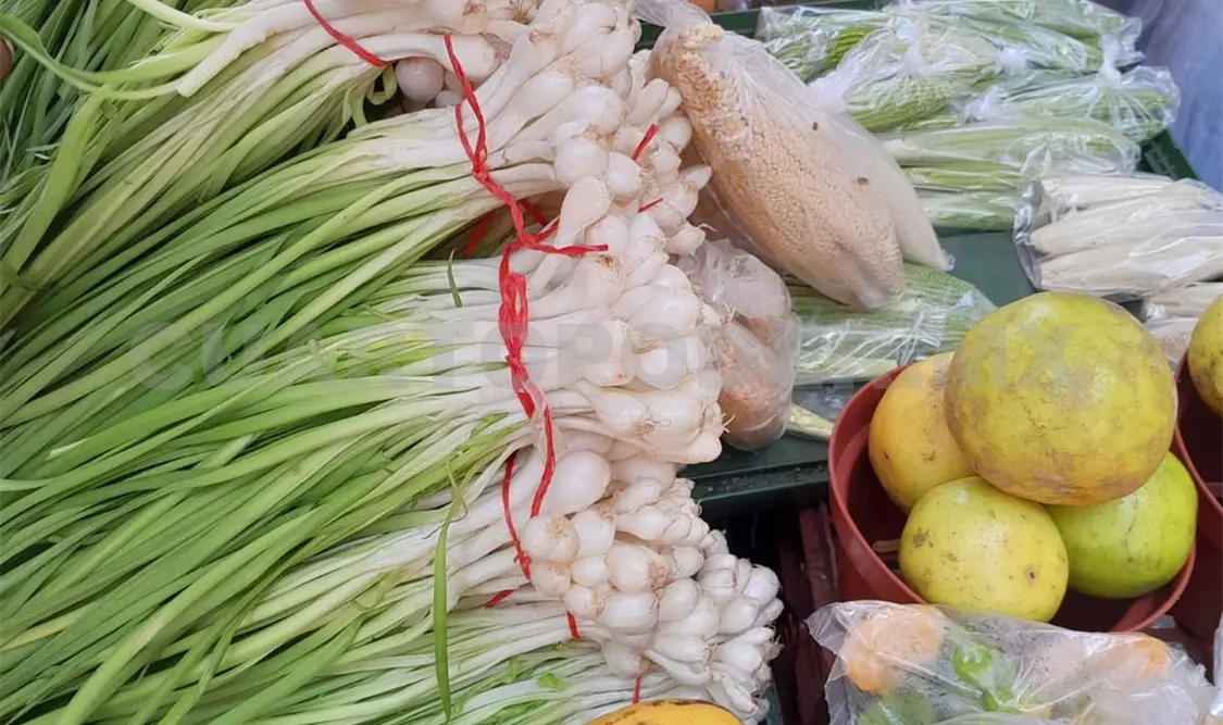 El chapay: alimento chiapaneco de gran valor energético