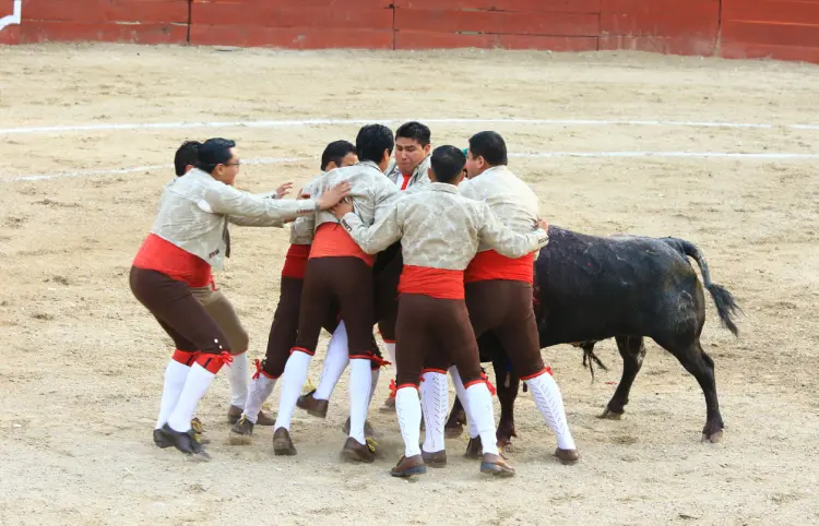 San Román y Llaguno triunfan en La Coleta