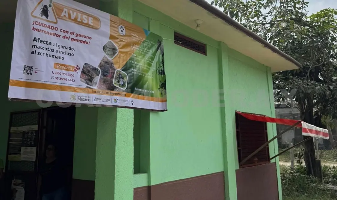 Alertan por gusano barrenador en mascotas