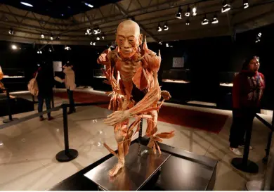 Muestra del cuerpo humano llega a CDMX