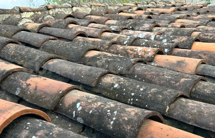 Casas con techo de teja en extinción