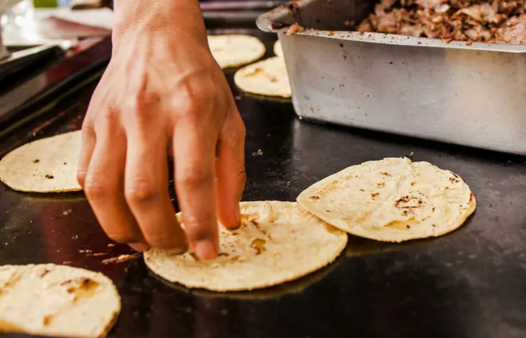 Consume entre 74 y 75 kilos de tortillas al año un mexicano