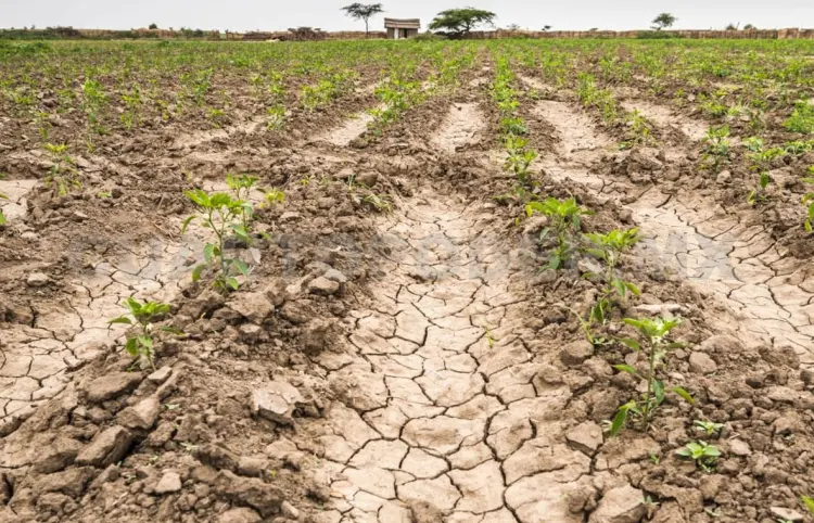 Municipios sin sequía, a pesar de altas temperaturas