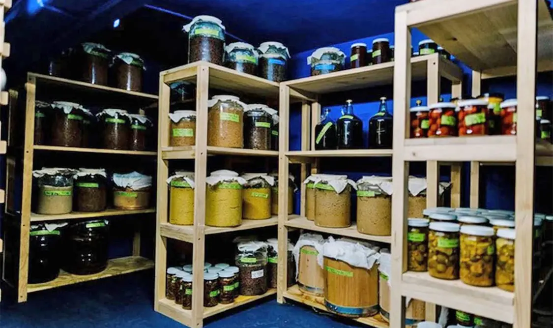 Las partidas de fermentos parecen florecer en las cocinas de los mejores restaurantes del mundo. El Universal