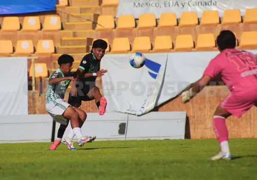 Goleada para llegar con vuelo a la liguilla