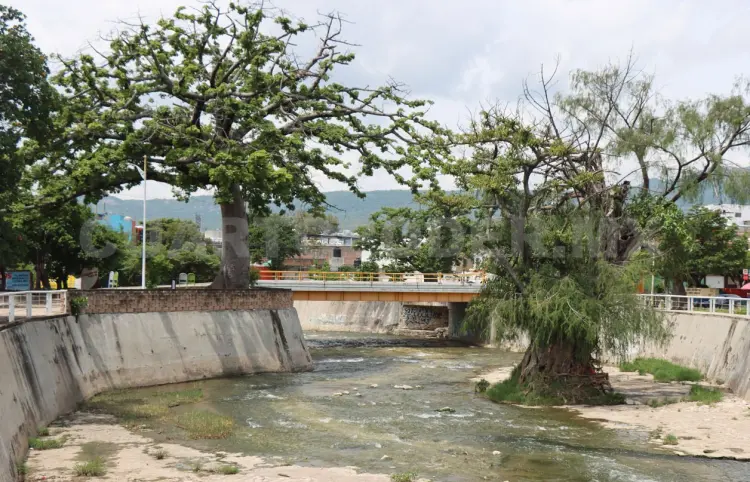 33 % de las especies en el Sabinal son invasoras