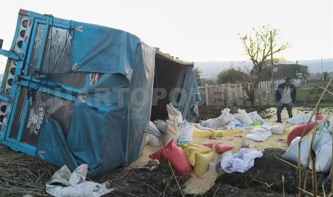 Camión maicero abandona la vía y acaba volcando