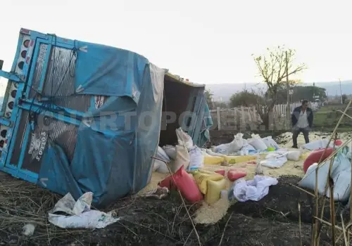 Camión maicero abandona la vía y acaba volcando