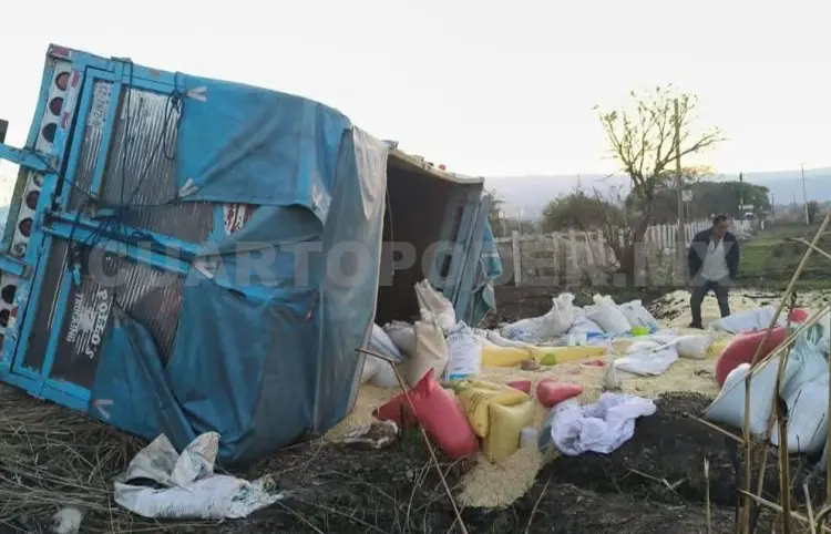 Camión maicero abandona la vía y acaba volcando