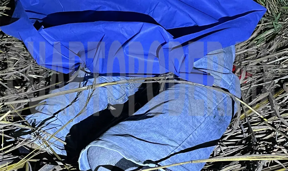 Hallan a motorista muerto entre los matorrales