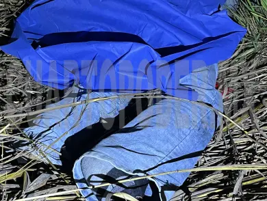 Hallan a motorista muerto entre los matorrales