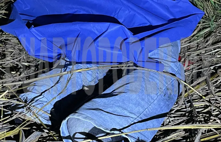 Hallan a motorista muerto entre los matorrales