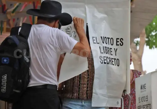 Más de 9 mil personas quieren observar elección
