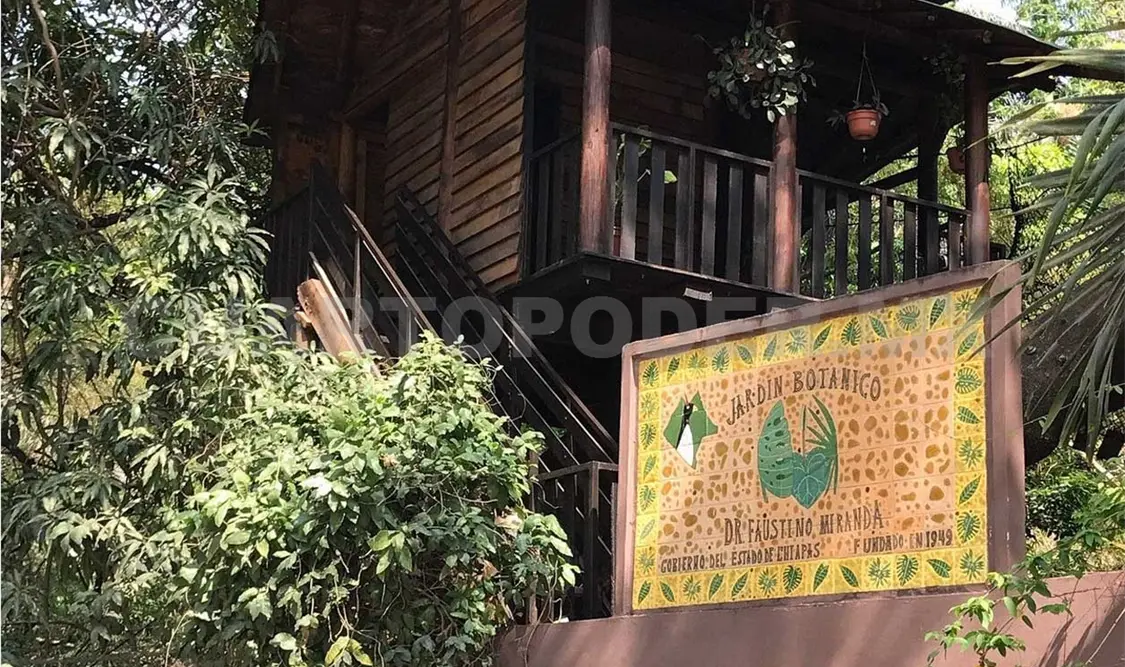 Avanza proyecto de restauración de Jardín Botánico