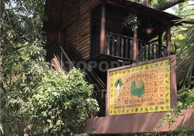 Avanza proyecto de restauración de Jardín Botánico