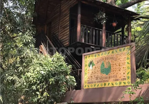 Avanza proyecto de restauración de Jardín Botánico